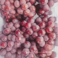 fresh fruits crimson seeded grape fresh grape for sale